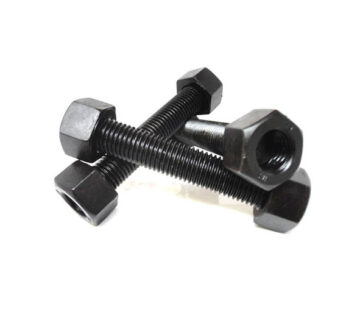 استادبولت B16