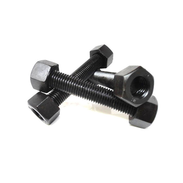 استادبولت B16